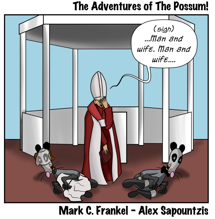 216-the-adventures-of-the-possum - Panel 3